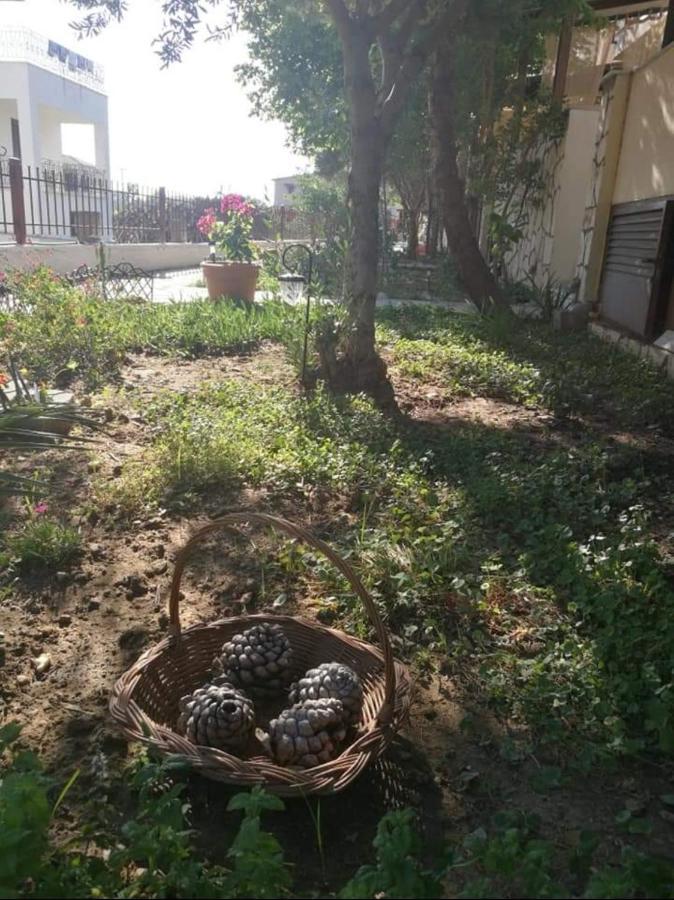Papadopoulos Houses Νικήτη Εξωτερικό φωτογραφία
