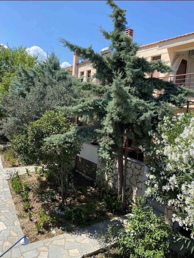 Papadopoulos Houses Νικήτη Εξωτερικό φωτογραφία